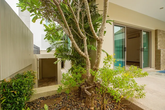 Tropical garden with frangipani by the entrance
